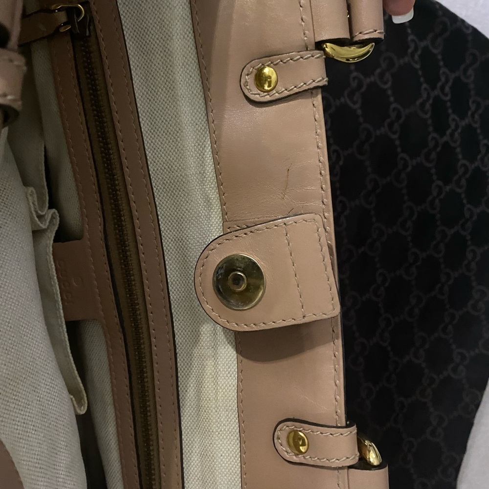 Gucci - Picture 5 of 15